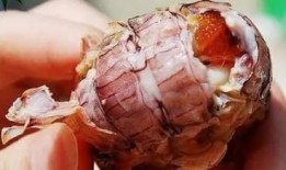 永丰血鸭爆料事件真相视频,视频还原惊人内幕